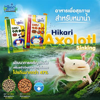 Hikari Axolotl อาหารเม็ด สำหรับหมาน้ำ อาหารซาลาแมนเดอร์ (แบบจม) (30g) (เม็ด S, เม็ด L)